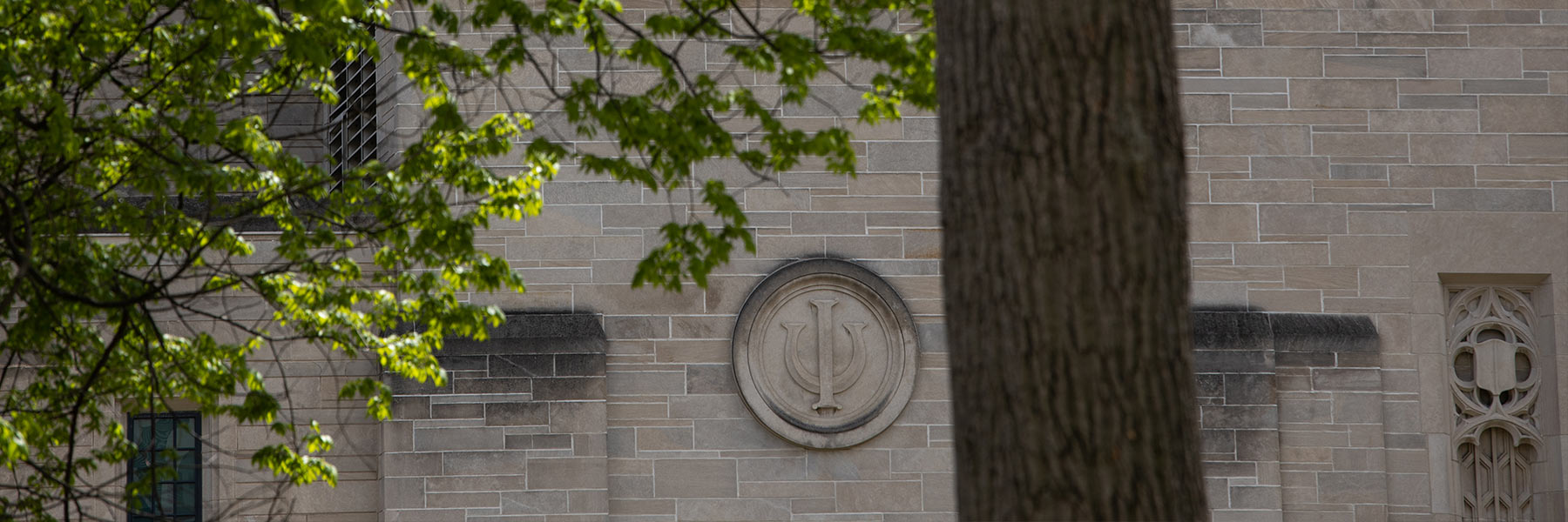 Tree branches in front of decorative elements on a limestone building, include the IU trident.