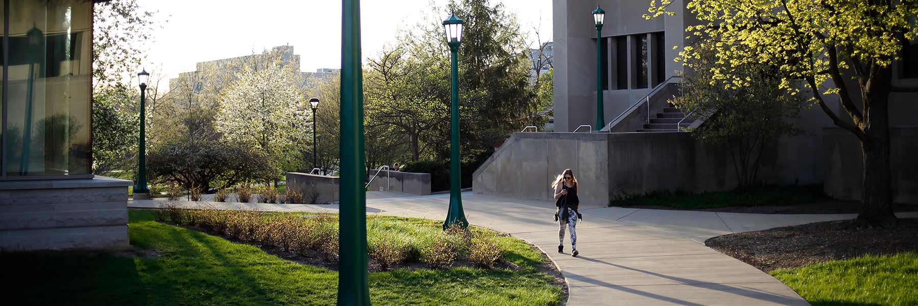 A student walk down a paved path between two campus buildings as the sun sets behind her.