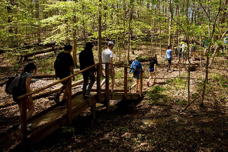 A group of students walks down a wooded path with bridge in a wooded area.